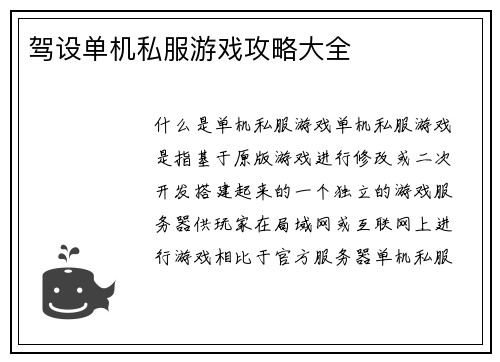 驾设单机私服游戏攻略大全